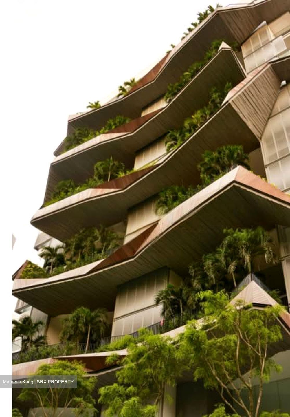 The Oliv (D10), Apartment #595416791